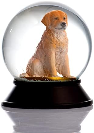 Cam Ve Reçine Altın Patiler Köpek Golden Retriever Kar Küresi Hediye
