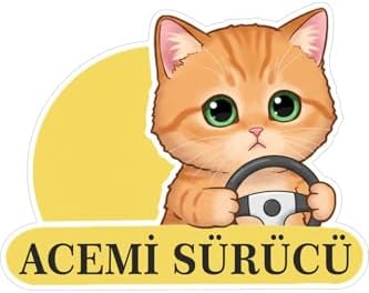Parti Tasarla Acemi Sürücü Sevimli Kedi Araba Etiketi & Sticker Çok Renkli - Görsel 3