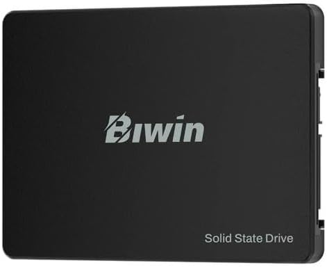 Biwin M100 256GB SSD 2.5