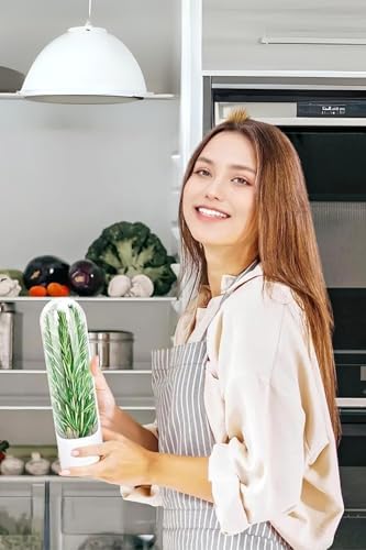 Taze Tutma Kabı - 2'li Ekonomi Seti - Buzdolabı Organizer, Maydanoz, Dereotu ve Nane Saklama Kabı, Otların ömrünü 3 Kat Uzatan Akıllı Tasarım (BPA Free) - Görsel 3