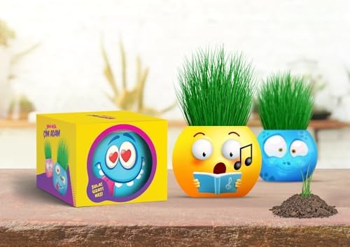 YUUP Emoji Temalı Çim Adam 6'lı Set – Çocuklar İçin Eğitici ve Eğlenceli Bitki Yetiştirme Kiti - Görsel 3