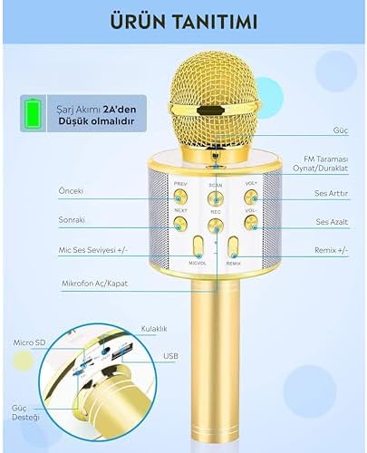 Babilden C-8501 Karaoke Mikrofon Bluetooth USB & TF & Aux (Gold) - Görsel 3