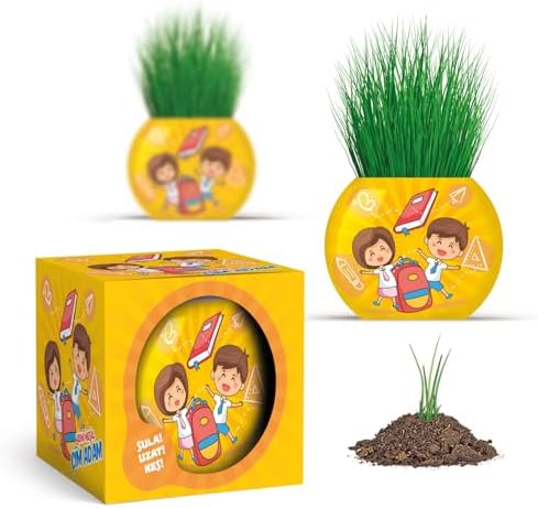 YUUP Okul Temalı Çim Adam 6'lı Set – Çocuklar İçin Eğitici ve Eğlenceli Bitki Yetiştirme Kiti - Görsel 3