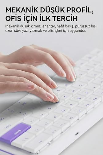 NKL61 60% Mekanik Klavye 61 Tuş Düşük Profil Kablolu Kompakt Gaming ve Ofis Klavyesi Kırmızı Linear Switch 22 Tuş Anti Ghosting ABS Keycaps (NKL61 Beyaz Mor | Red Switch)
