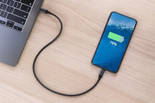 Type-C to Type-C Kablo 30 cm – 60W Hızlı Şarj ve 5Gbps Veri Aktarımı | Dayanıklı Örgü Kaplama, Kısa Taşınabilir Tasarım, Telefon, Tablet ve Laptop Uyumlu | ZR876