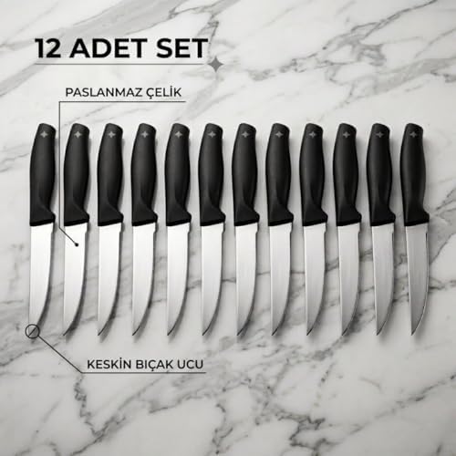 Paslanmaz Çelik Meyve Bıçağı Seti, Siyah Saplı, 12 Parça