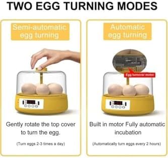 Alternative view of Mini Otomatik Ev Tipi Kuluçka: Elektrikli Tavuk ve Kuş Kuluçka Makinesi 6 Yumurtalı MX-6