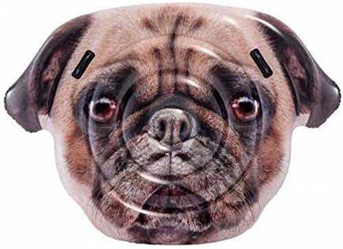 Badeinsel Pug