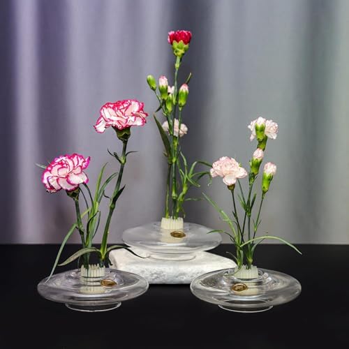 Alternative view of Flora Design-Balance Series Şeffaf Cam Vazo