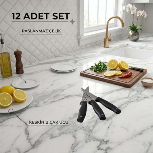 Paslanmaz Çelik Meyve Bıçağı Seti, Siyah Saplı, 12 Parça - Görsel 3