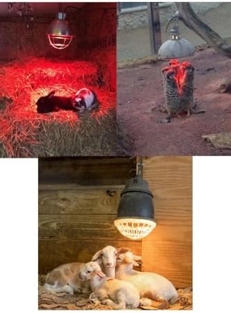 250W Kızılötesi Infrared Hayvan Isıtma ve Fizik Tedavi Lambası, Kırmızı Işık, BR125