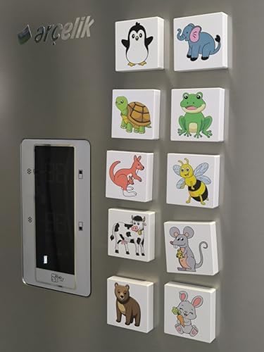 Efe'nin Hayvanat Bahçesi Seri-1 / Manyetik Blok- Magnet 20 Hayvan Figürü