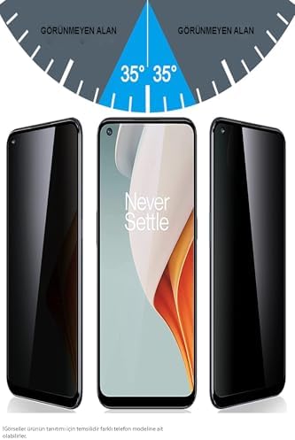 Galaxy S25 FE ile Uyumlu Tam Kaplayan Privacy Hayalet Temperli Ekran Koruycu Cam - Görsel 2