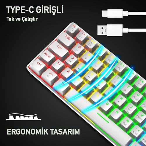 ROBEVE Blic Oyuncu Klavyesi RGB Klavye 20 Modlu Ayarlanabilir Renk Seçeneği RGB Suya Ve Toza Dayanıklı Klavye Oyun Klavyesi Oyuncu Klavye Mekanik Klavye Aydınlatmalı Klavye Mavi Switch (Beyaz)