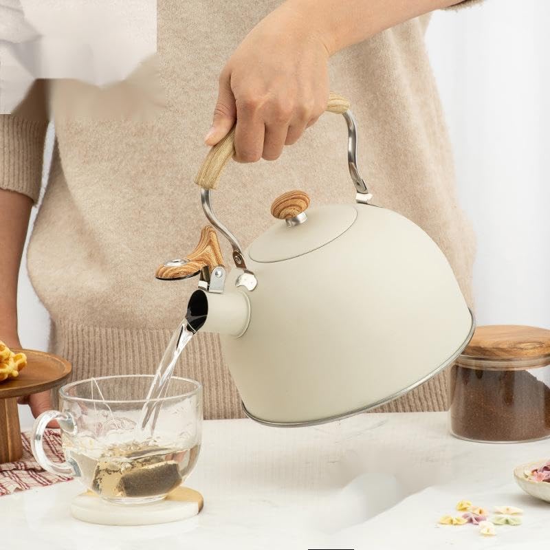 2.5L Paslanmaz Çelik Düdüklü Su Isıtıcısı Demlik Islıklı Kettle