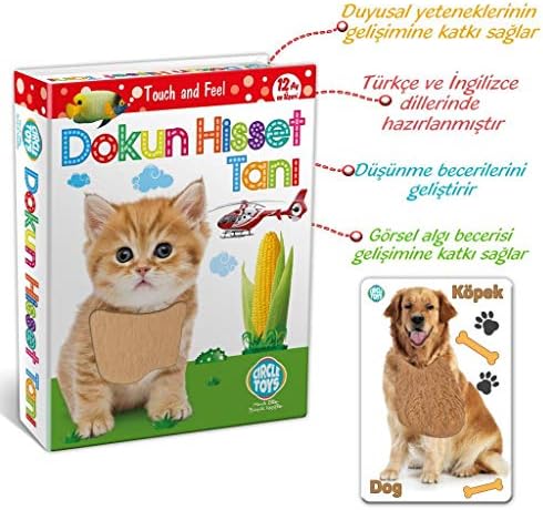 Dokun Hisset Tanı Eğitim Kartları, Zeka Kartları