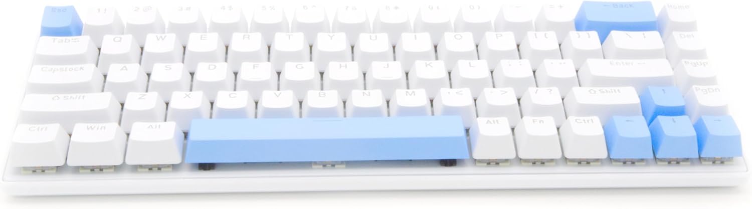 Spelt Skylion 68 Tuşlu Aydınlatmalı Drinkey Blue Mavi Switch Mekanik Kompakt Klavye Beyaz - Görsel 3